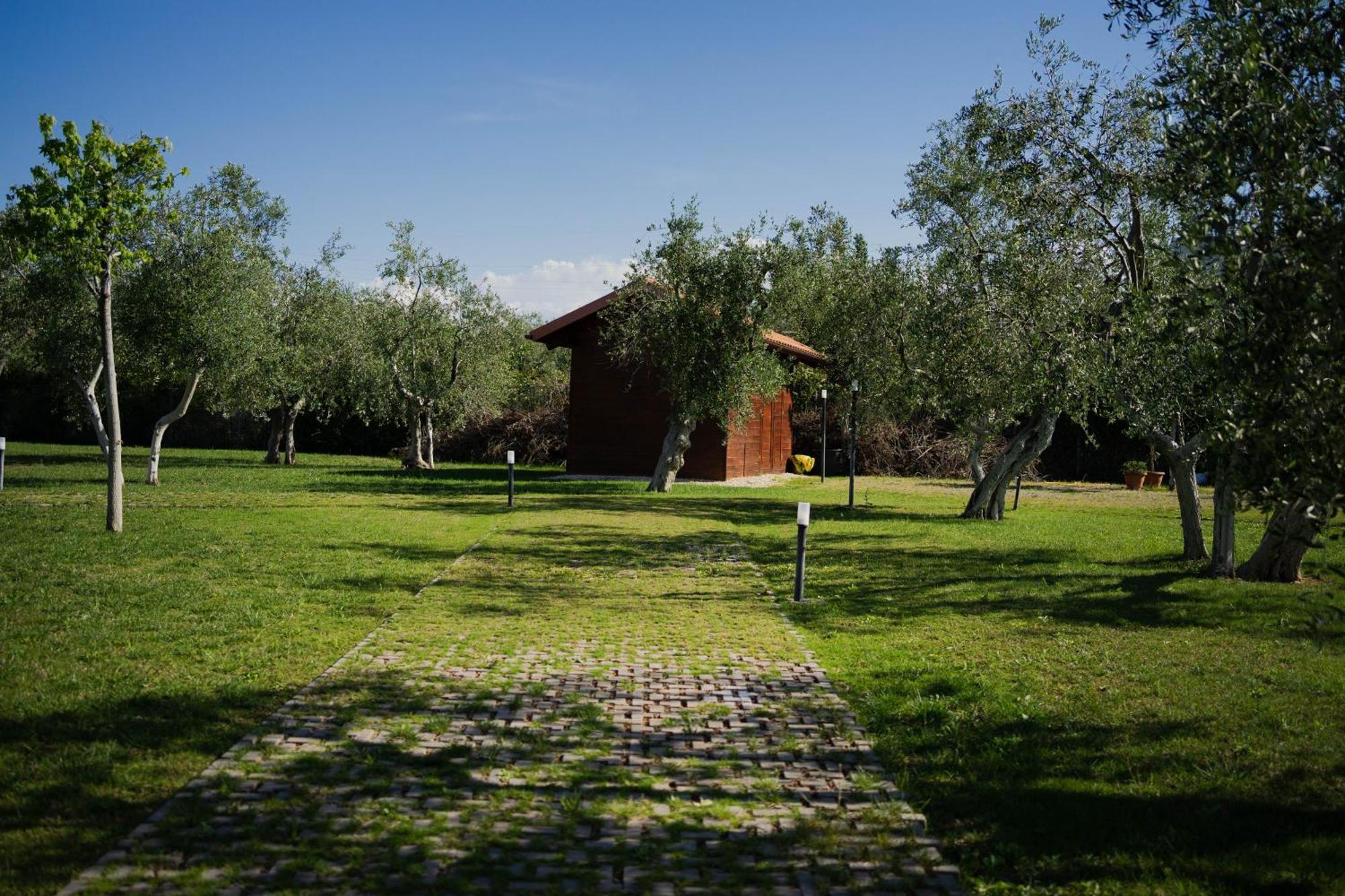 בארי Villa Erada מראה חיצוני תמונה